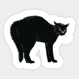 Black Cat Arch Sticker